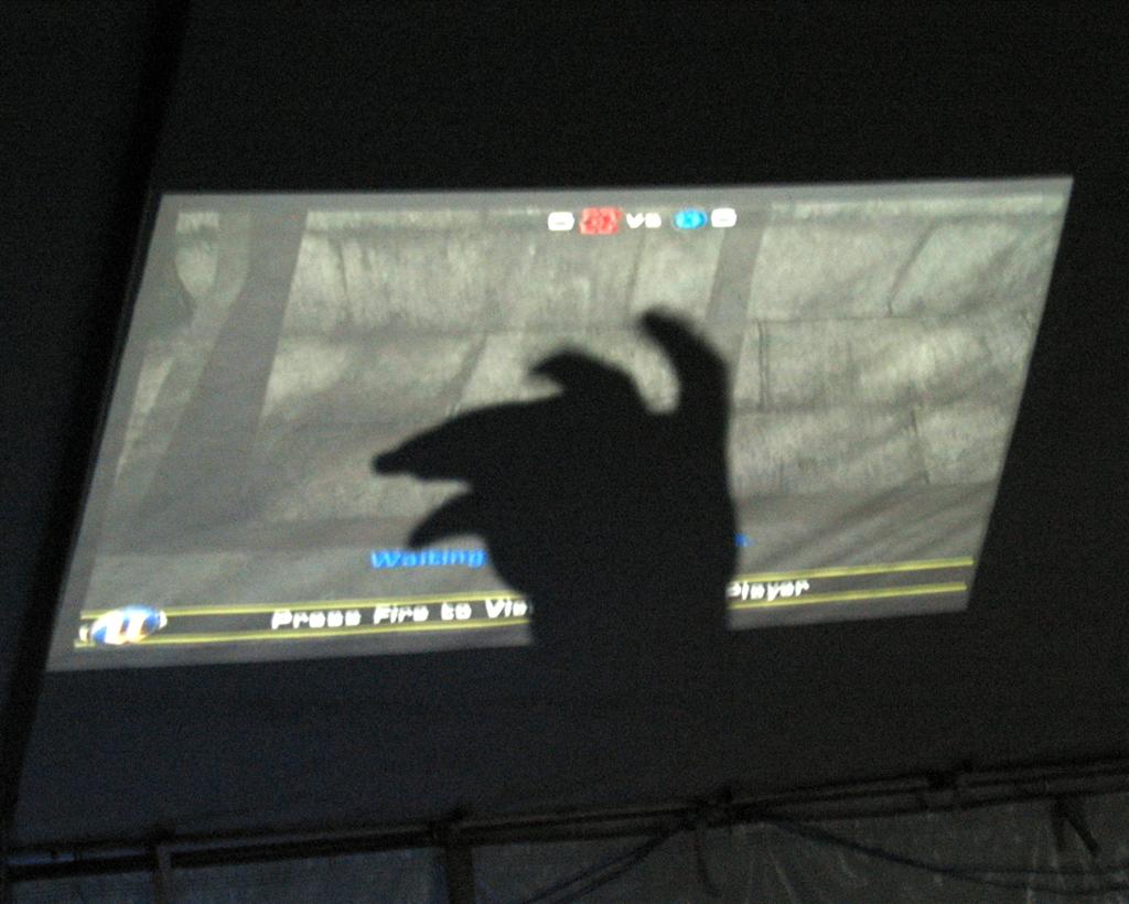 shadowpuppet.jpg