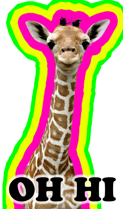 oh_hi_giraffe.png