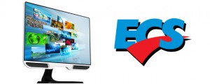 ECS G24