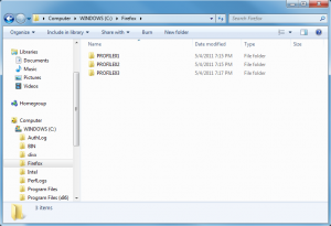 Profile Folder Structure